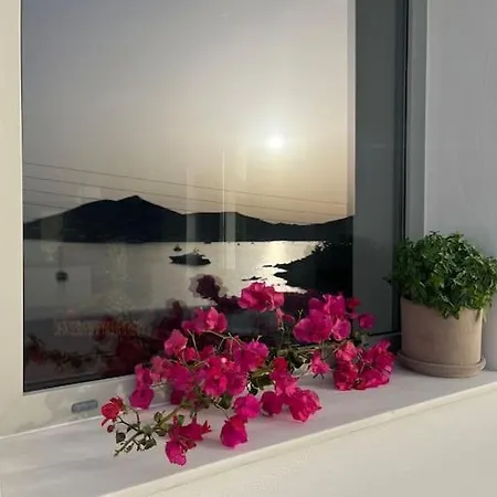 Linardo's Cycladic House ナウサ